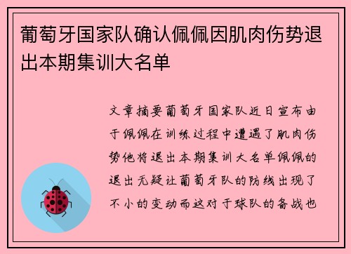 葡萄牙国家队确认佩佩因肌肉伤势退出本期集训大名单